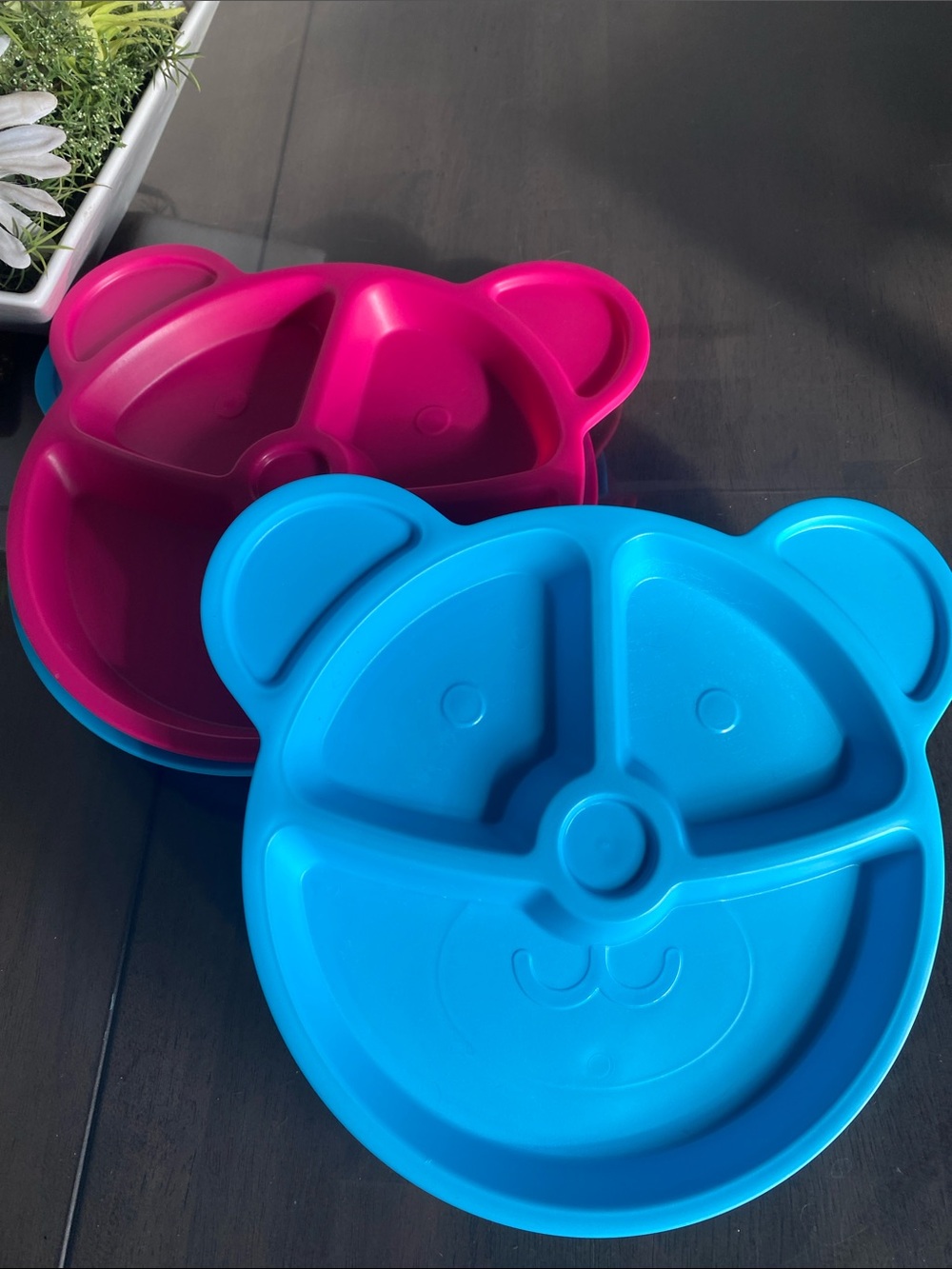 New🌈 Teddy Bear Divided Lunch Trays meal serving